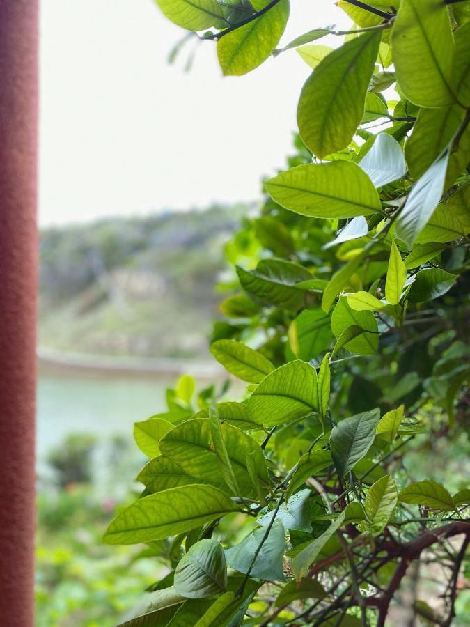Apartments Zala Matusan Supetarska Draga Zewnętrze zdjęcie