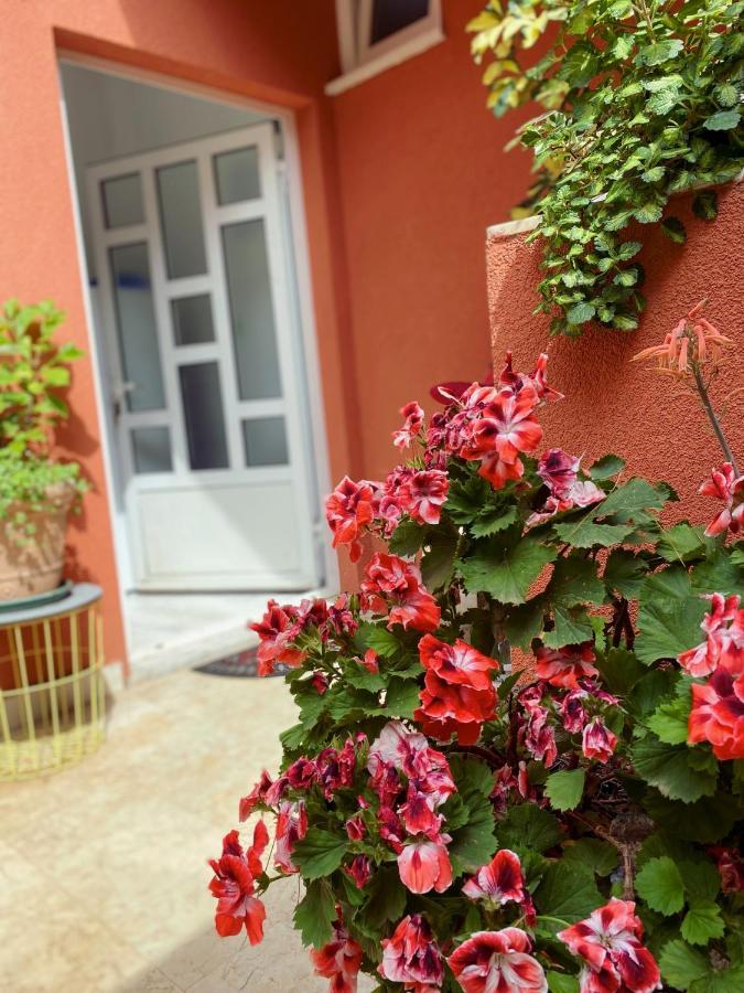 Apartments Zala Matusan Supetarska Draga Zewnętrze zdjęcie