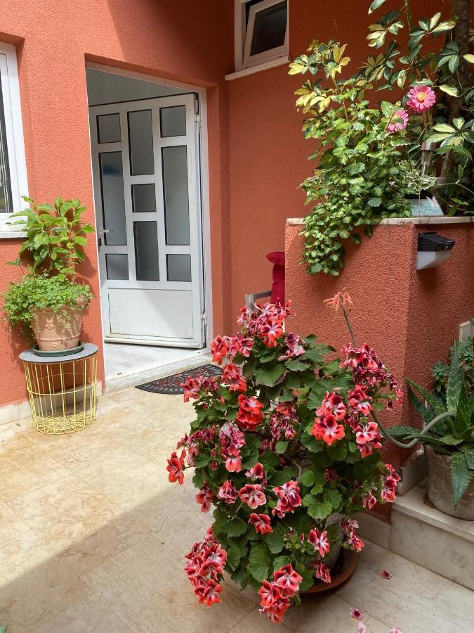 Apartments Zala Matusan Supetarska Draga Zewnętrze zdjęcie